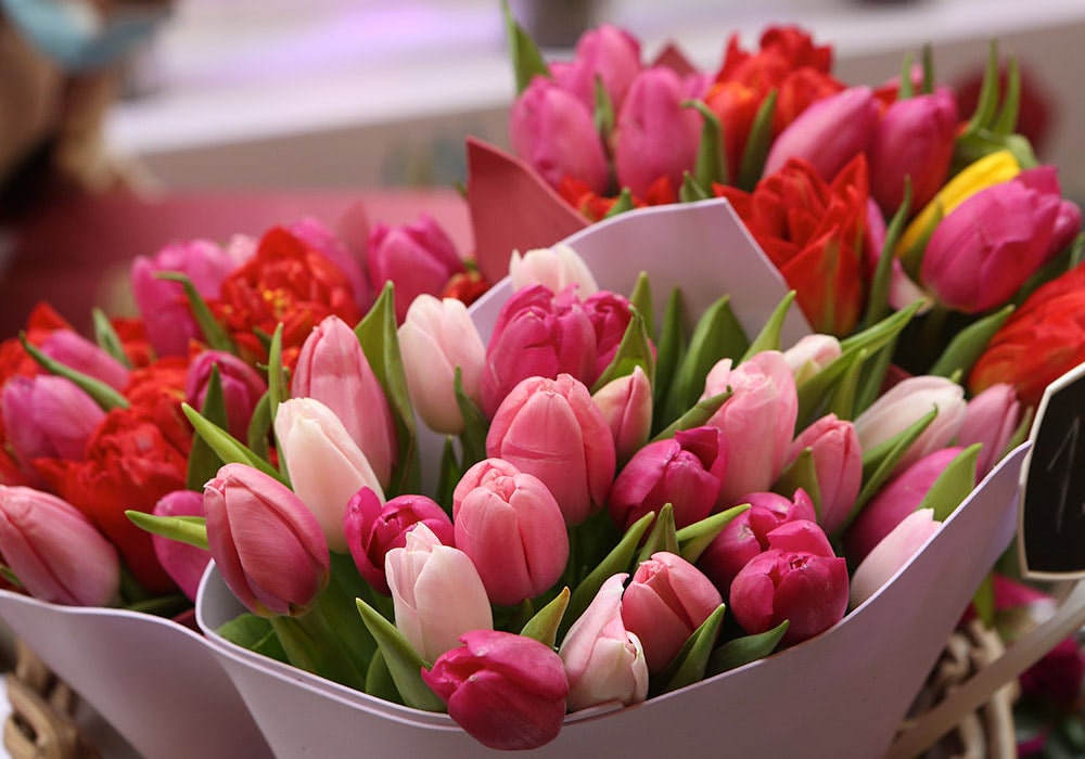 Bouquets of pink and red tulips are displayed in white wrappers, arranged closely together, likely at a flower shop or market.