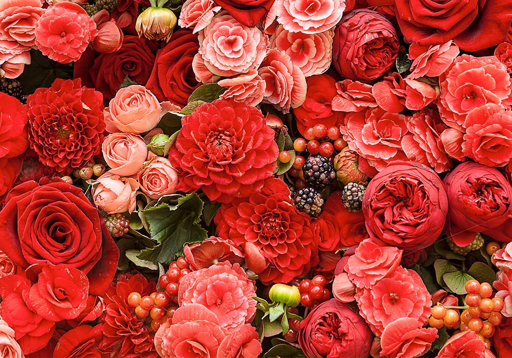 A variety of red and pink flowers, including roses and carnations, interspersed with berries and green leaves, densely packed together, filling the entire background.