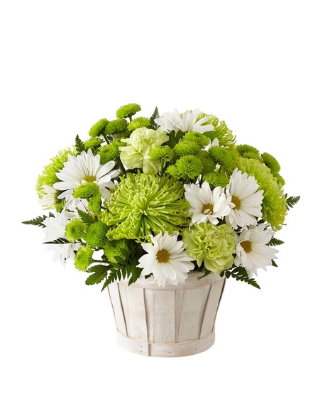 green and white flowers in gorgeous basket