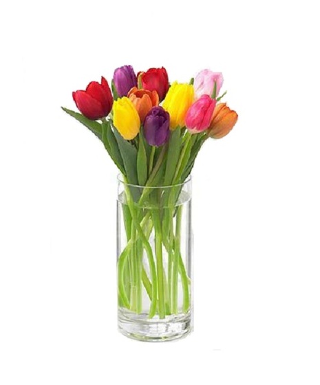 Mixed Tulips  Bouquet