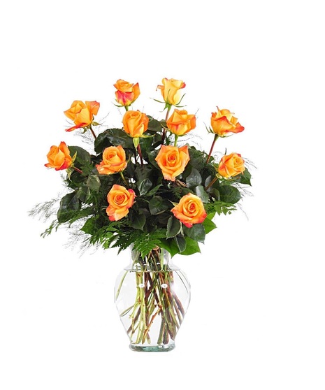 Dozen Orange Roses