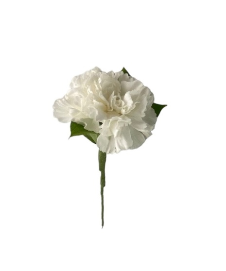 carnation boutonniere