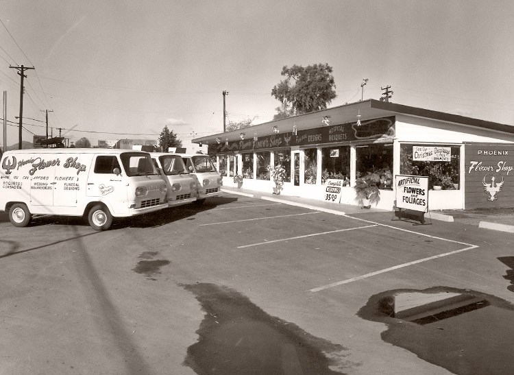 A small fleet of delivery vans parked outside our showroom, circa 1970