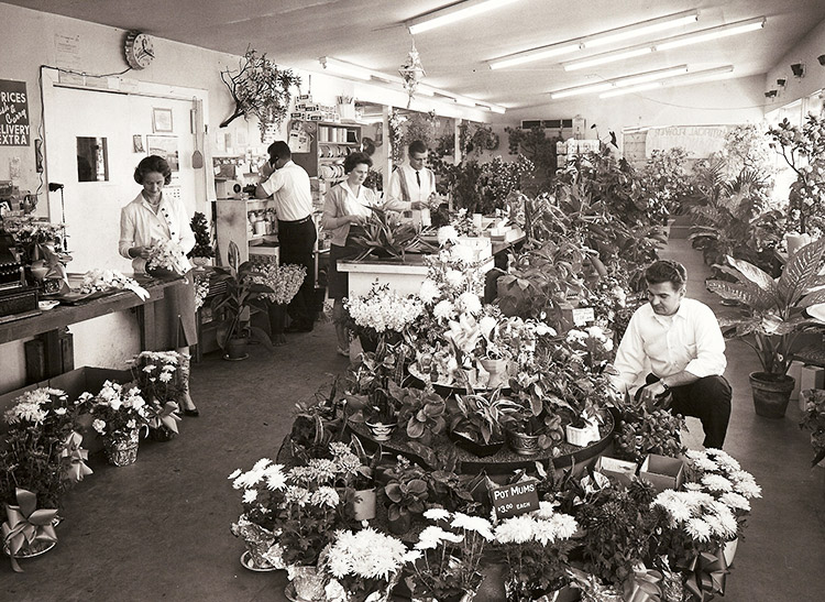 Our busy staff tends to arrangements and takes phone orders in our shop, circa 1970